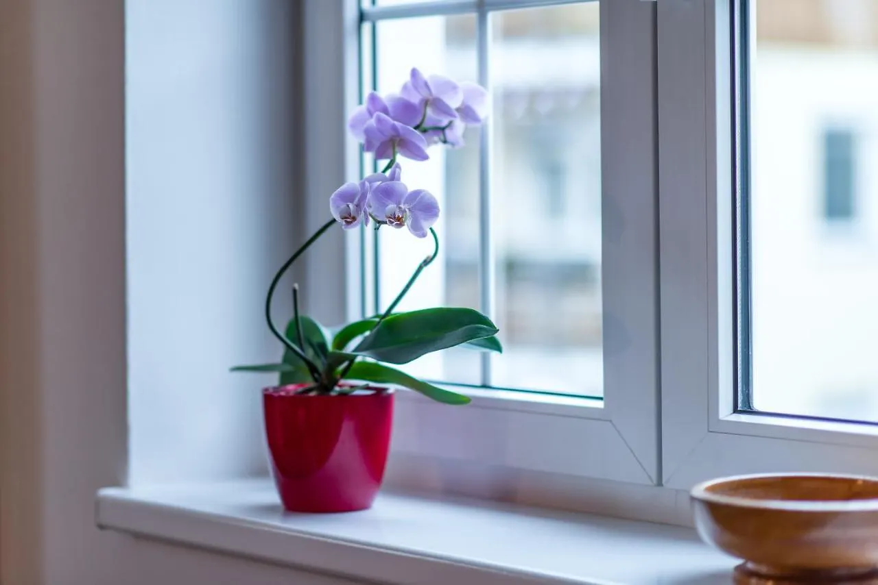 Apartment Chopin Marianske Lazne 0*,